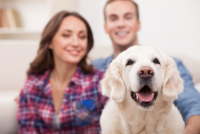 couple with pet