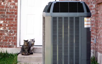 How You Can Maintain Your Newton Grove, NC Heat Pump