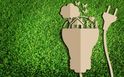 Top Eco-Friendly Electrical Solutions That Will Save You Money