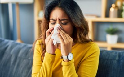 3 Most Common Threats to Indoor Air Quality in Your Raleigh Home